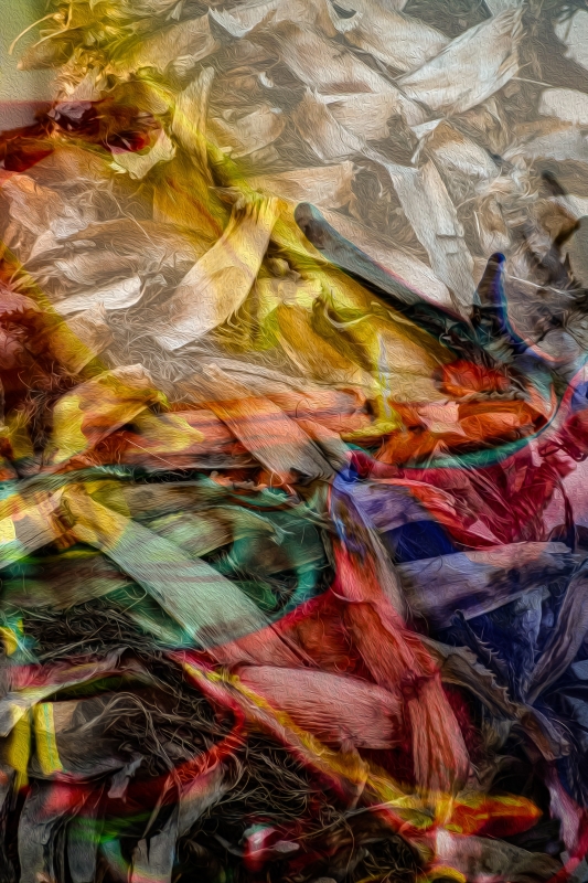 A Colorful Transformation by artist Michael Wright